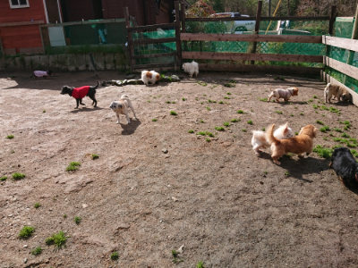 f:id:roukenhome-ann:20190408180810j:plain f:id:roukenhome-ann:20190408180810j:plain