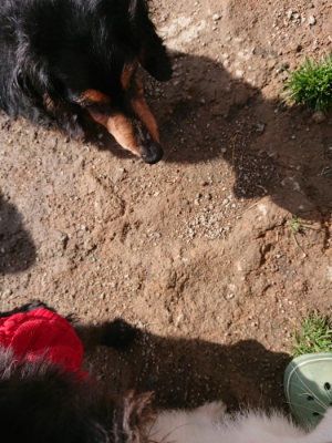 f:id:roukenhome-ann:20190408180827j:plain f:id:roukenhome-ann:20190408180827j:plain