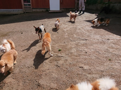 f:id:roukenhome-ann:20190408181654j:plain f:id:roukenhome-ann:20190408181654j:plain