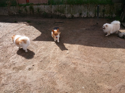 f:id:roukenhome-ann:20190408182130j:plain f:id:roukenhome-ann:20190408182130j:plain