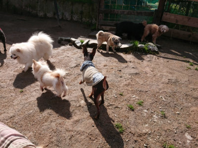 f:id:roukenhome-ann:20190408182347j:plain f:id:roukenhome-ann:20190408182347j:plain