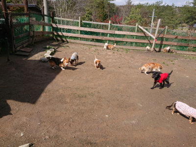 f:id:roukenhome-ann:20190408182354j:plain f:id:roukenhome-ann:20190408182354j:plain