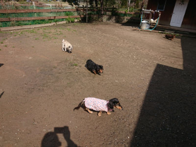 f:id:roukenhome-ann:20190408182407j:plain f:id:roukenhome-ann:20190408182407j:plain