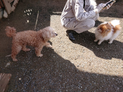 f:id:roukenhome-ann:20190408182438j:plain f:id:roukenhome-ann:20190408182438j:plain