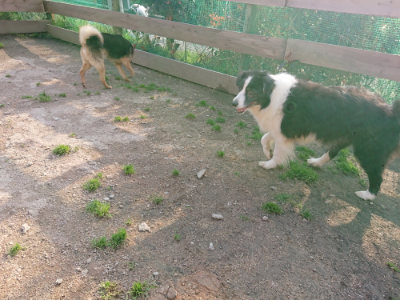 f:id:roukenhome-ann:20190408183255j:plain f:id:roukenhome-ann:20190408183255j:plain
