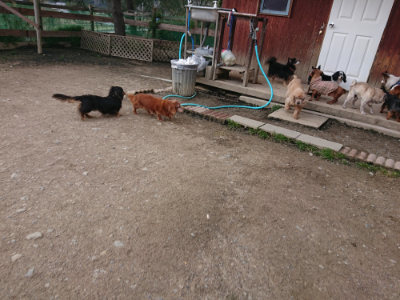 f:id:roukenhome-ann:20190408183316j:plain f:id:roukenhome-ann:20190408183316j:plain