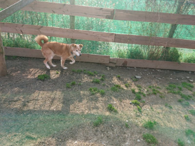 f:id:roukenhome-ann:20190408183353j:plain f:id:roukenhome-ann:20190408183353j:plain