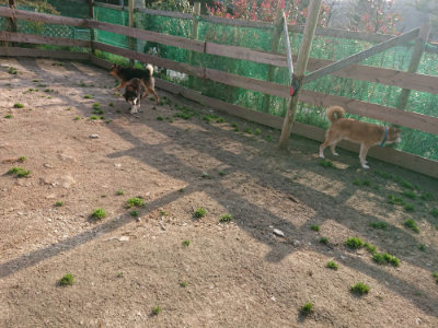 f:id:roukenhome-ann:20190408183440j:plain f:id:roukenhome-ann:20190408183440j:plain