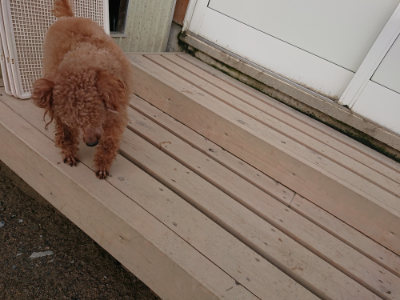 f:id:roukenhome-ann:20190408183446j:plain f:id:roukenhome-ann:20190408183446j:plain