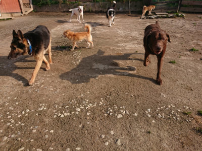 f:id:roukenhome-ann:20190408183515j:plain f:id:roukenhome-ann:20190408183515j:plain