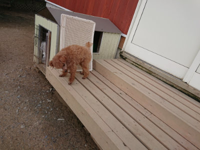 f:id:roukenhome-ann:20190408183529j:plain f:id:roukenhome-ann:20190408183529j:plain