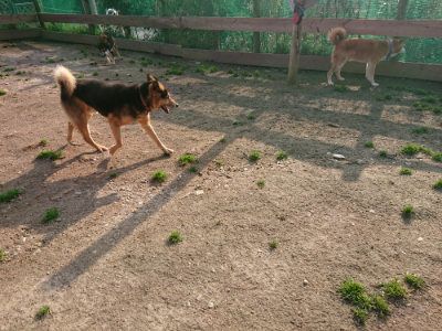 f:id:roukenhome-ann:20190408183551j:plain f:id:roukenhome-ann:20190408183551j:plain