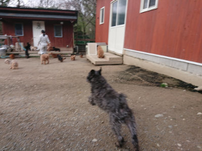 f:id:roukenhome-ann:20190408183604j:plain f:id:roukenhome-ann:20190408183604j:plain
