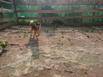 f:id:roukenhome-ann:20190408183630j:plain f:id:roukenhome-ann:20190408183630j:plain