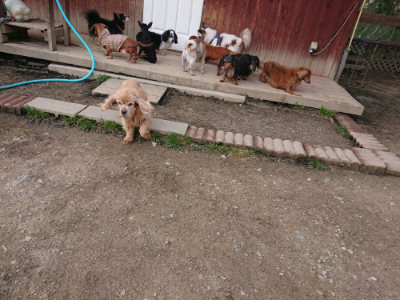 f:id:roukenhome-ann:20190408183637j:plain f:id:roukenhome-ann:20190408183637j:plain