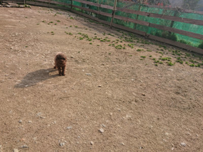 f:id:roukenhome-ann:20190408183649j:plain f:id:roukenhome-ann:20190408183649j:plain
