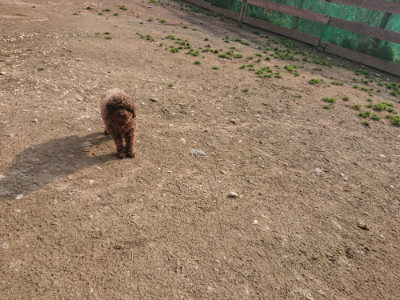 f:id:roukenhome-ann:20190408183655j:plain f:id:roukenhome-ann:20190408183655j:plain