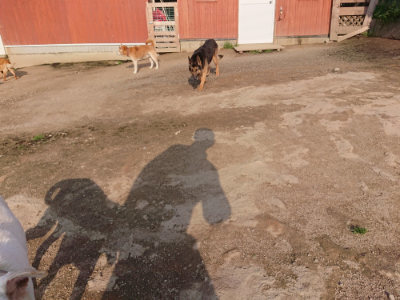 f:id:roukenhome-ann:20190408183702j:plain f:id:roukenhome-ann:20190408183702j:plain