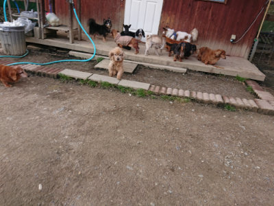 f:id:roukenhome-ann:20190408183710j:plain f:id:roukenhome-ann:20190408183710j:plain