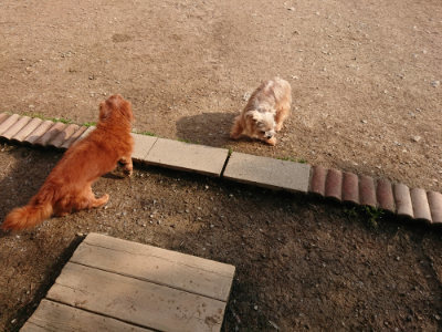 f:id:roukenhome-ann:20190408183717j:plain f:id:roukenhome-ann:20190408183717j:plain