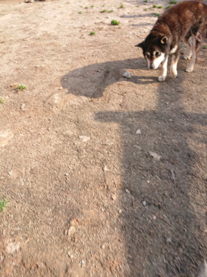 f:id:roukenhome-ann:20190408184124j:plain f:id:roukenhome-ann:20190408184124j:plain