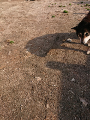f:id:roukenhome-ann:20190408184131j:plain f:id:roukenhome-ann:20190408184131j:plain