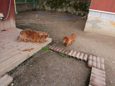 f:id:roukenhome-ann:20190408184138j:plain f:id:roukenhome-ann:20190408184138j:plain