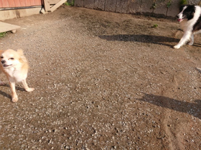 f:id:roukenhome-ann:20190408184204j:plain f:id:roukenhome-ann:20190408184204j:plain
