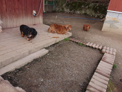 f:id:roukenhome-ann:20190408184212j:plain f:id:roukenhome-ann:20190408184212j:plain