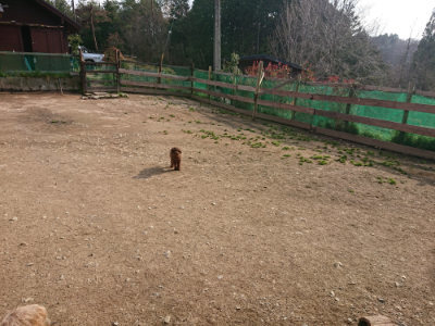f:id:roukenhome-ann:20190408184243j:plain f:id:roukenhome-ann:20190408184243j:plain