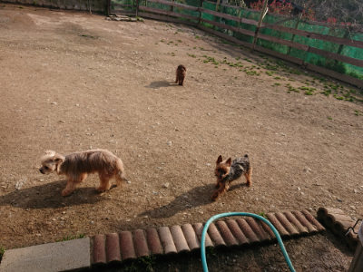 f:id:roukenhome-ann:20190408184319j:plain f:id:roukenhome-ann:20190408184319j:plain