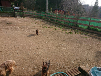 f:id:roukenhome-ann:20190408184326j:plain f:id:roukenhome-ann:20190408184326j:plain