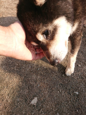 f:id:roukenhome-ann:20190408184332j:plain f:id:roukenhome-ann:20190408184332j:plain