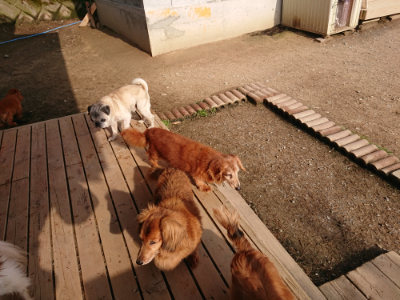 f:id:roukenhome-ann:20190408184347j:plain f:id:roukenhome-ann:20190408184347j:plain