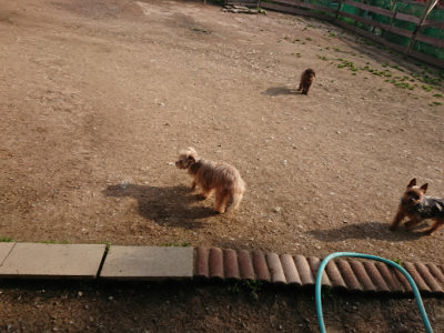 f:id:roukenhome-ann:20190408184352j:plain f:id:roukenhome-ann:20190408184352j:plain