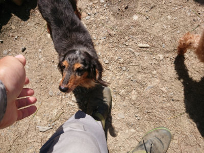 f:id:roukenhome-ann:20190410053734j:plain f:id:roukenhome-ann:20190410053734j:plain