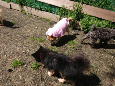f:id:roukenhome-ann:20190410053749j:plain f:id:roukenhome-ann:20190410053749j:plain