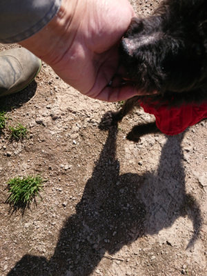 f:id:roukenhome-ann:20190410053802j:plain f:id:roukenhome-ann:20190410053802j:plain