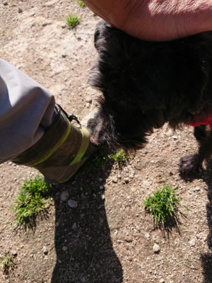 f:id:roukenhome-ann:20190410053810j:plain f:id:roukenhome-ann:20190410053810j:plain