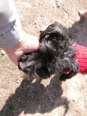f:id:roukenhome-ann:20190410053816j:plain f:id:roukenhome-ann:20190410053816j:plain