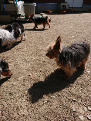 f:id:roukenhome-ann:20190410053822j:plain f:id:roukenhome-ann:20190410053822j:plain