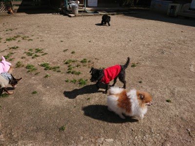 f:id:roukenhome-ann:20190410053853j:plain f:id:roukenhome-ann:20190410053853j:plain