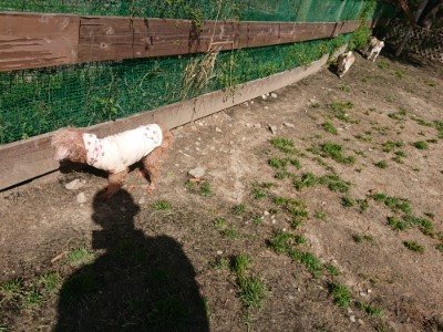 f:id:roukenhome-ann:20190410053920j:plain f:id:roukenhome-ann:20190410053920j:plain