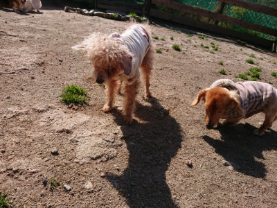 f:id:roukenhome-ann:20190410053952j:plain f:id:roukenhome-ann:20190410053952j:plain