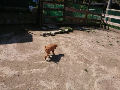 f:id:roukenhome-ann:20190410053959j:plain f:id:roukenhome-ann:20190410053959j:plain