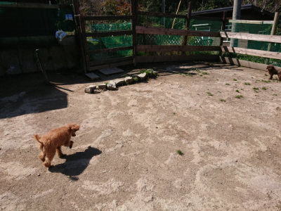 f:id:roukenhome-ann:20190410054019j:plain f:id:roukenhome-ann:20190410054019j:plain