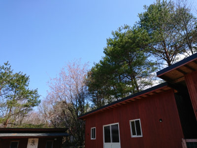 f:id:roukenhome-ann:20190410054036j:plain f:id:roukenhome-ann:20190410054036j:plain