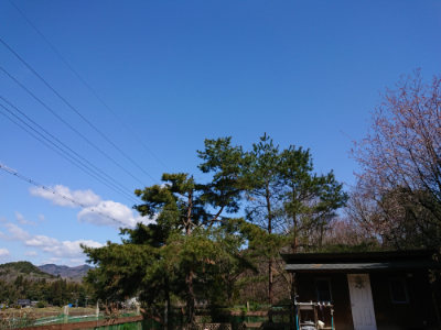 f:id:roukenhome-ann:20190410054044j:plain f:id:roukenhome-ann:20190410054044j:plain