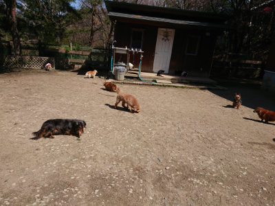 f:id:roukenhome-ann:20190410054049j:plain f:id:roukenhome-ann:20190410054049j:plain