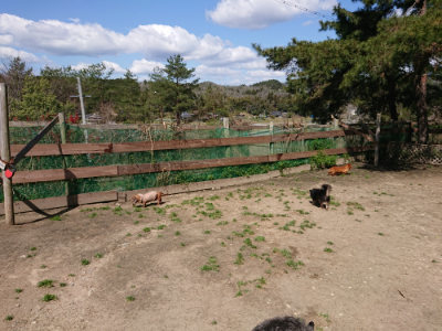 f:id:roukenhome-ann:20190410054055j:plain f:id:roukenhome-ann:20190410054055j:plain